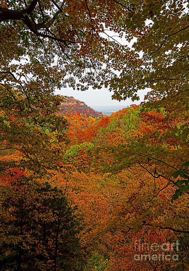 Autumn Escarpment Photograph by Barbara McMahon
