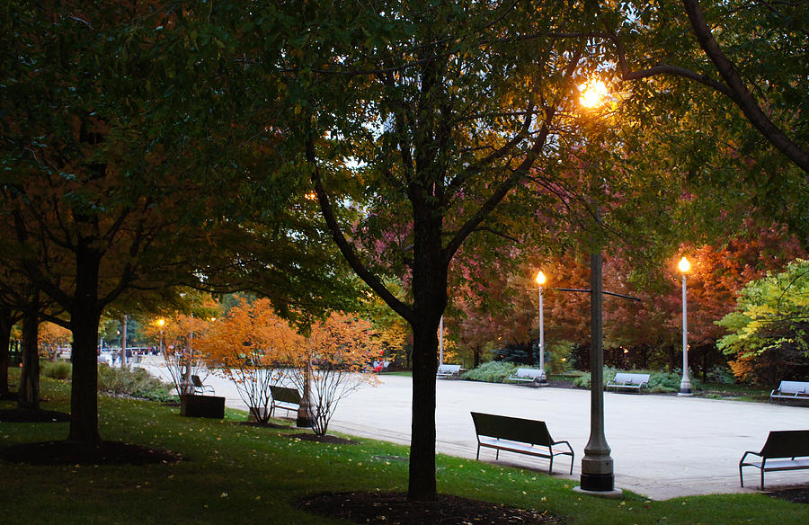 Chicago Photograph - Autumn Eve In The Park by Gregory Lafferty