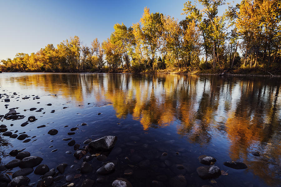 Autumn evening along Boise River Photograph by Vishwanath Bhat