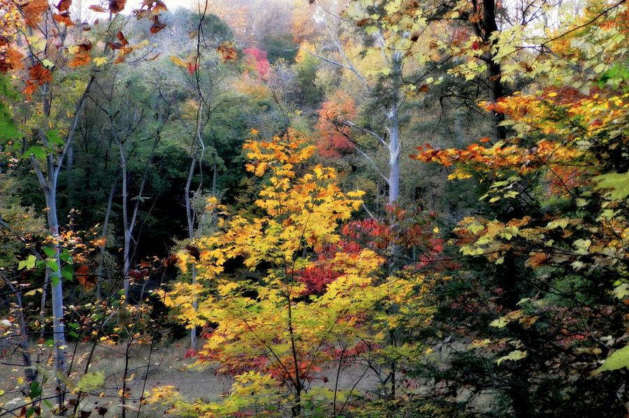 Autumn Evening Fog Photograph By Alane Dougherty - Fine Art America