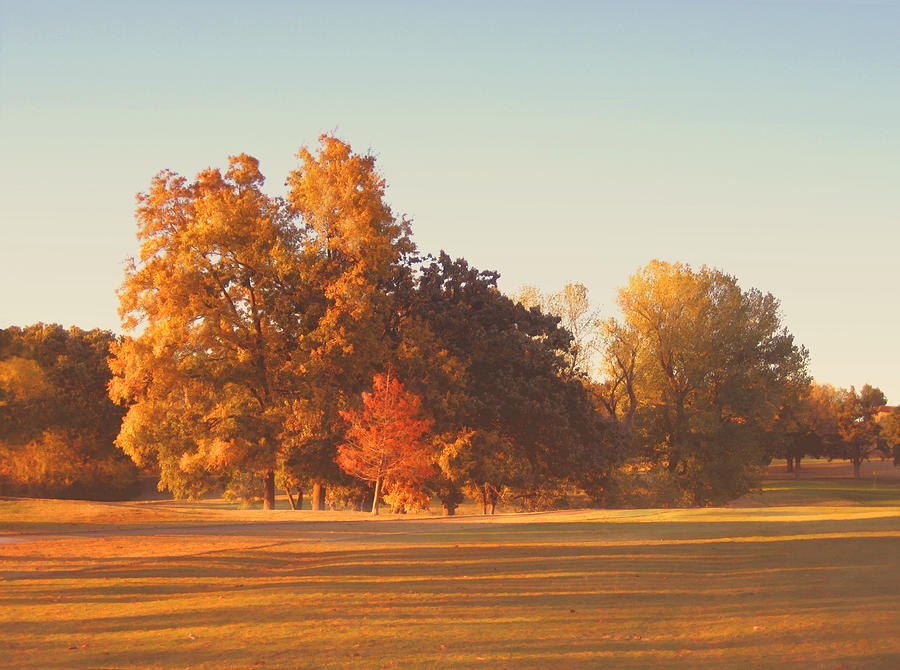 Autumn Evening on the Golf Course Photograph by Ann Powell