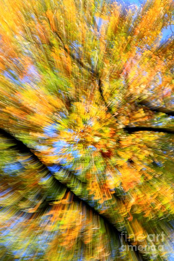 Autumn Explosion Two Photograph by Rick Rauzi