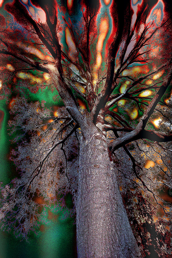Tree Expansion Digital Art