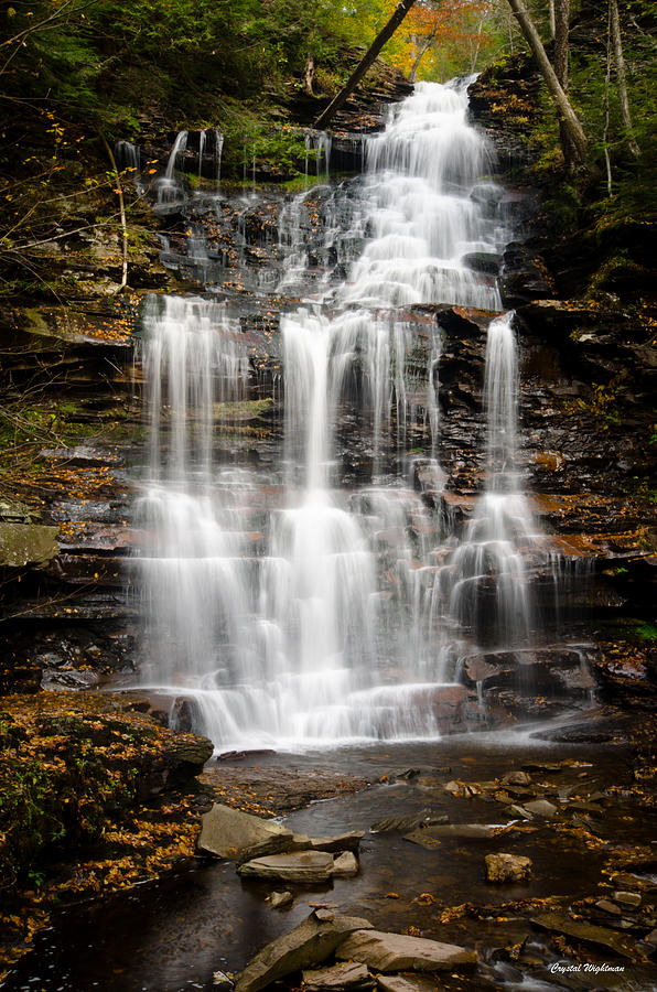 Waterfall at Ricketts Glen Photograph by Crystal Wightman