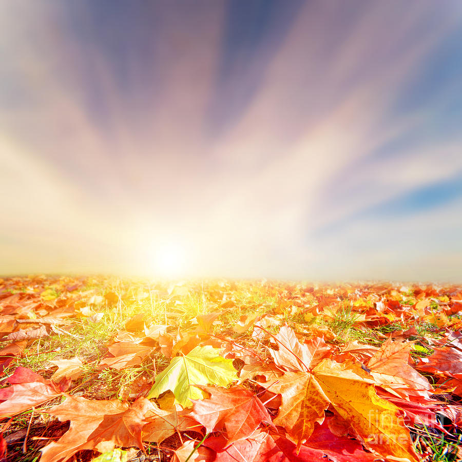 Autumn fall landscape Photograph by Michal Bednarek