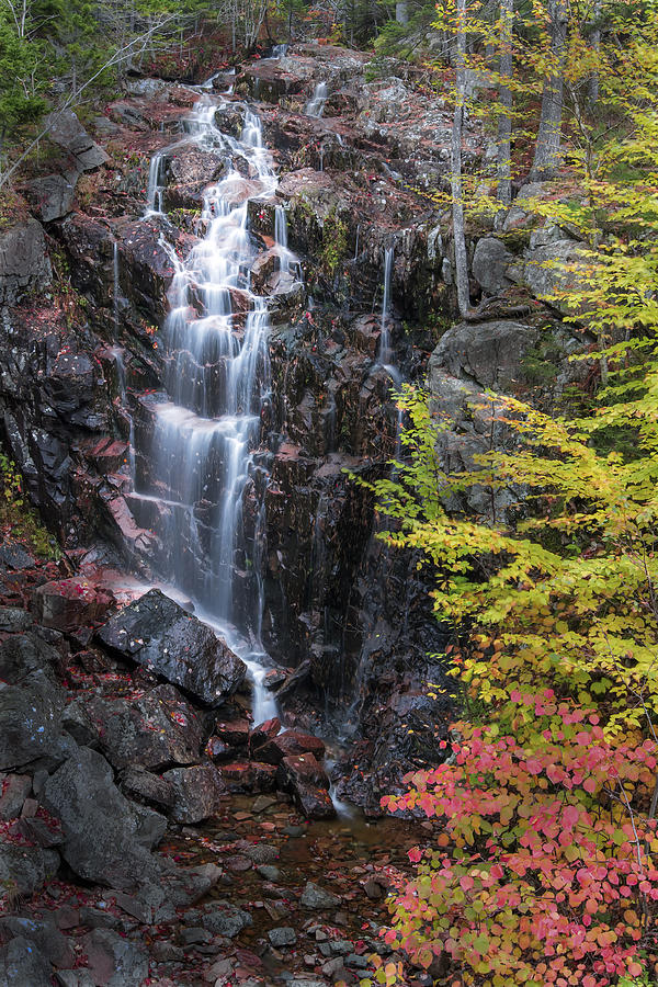 Autumn Falls Away Photograph by Jon Glaser