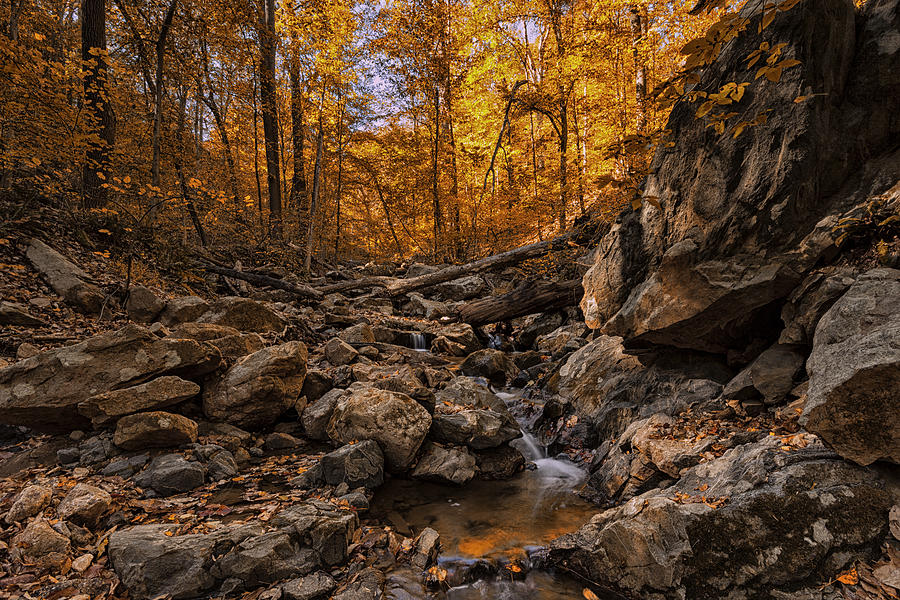 Autumn falls Photograph by Edward Kreis