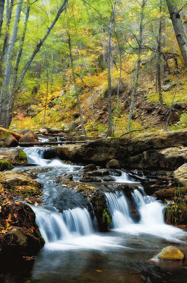 Autumn Falls Photograph by Saija Lehtonen - Fine Art America