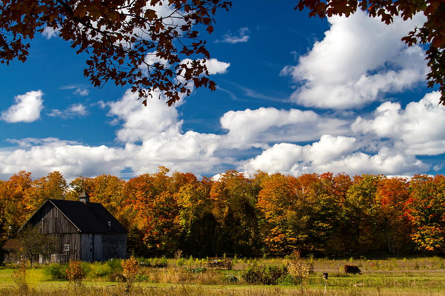 Fall Photograph - Autumn Farm by Chuck De La Rosa