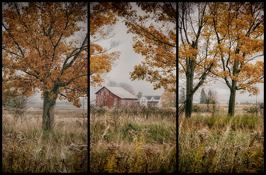 Farm Photograph - Autumn Farm  by Gary OBoyle