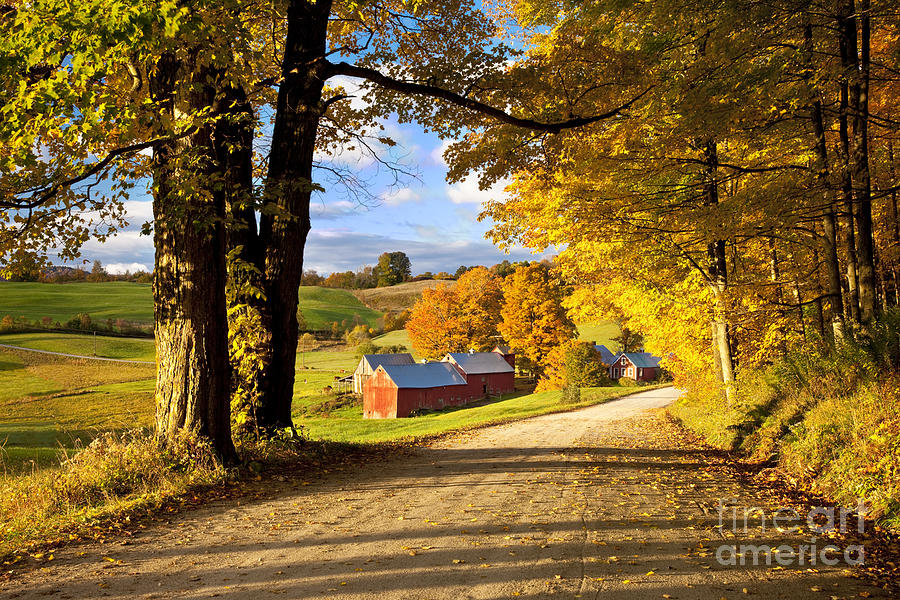 Autumn Farm in Vermont Photograph by Brian Jannsen