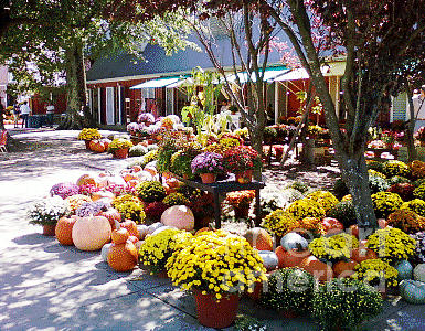 Autumn Photograph - Autumn Farmers Market by Karen E. Francis by Karen Francis Autumn Photograph - Autumn Farmers Market by Karen E. Francis by Karen Francis