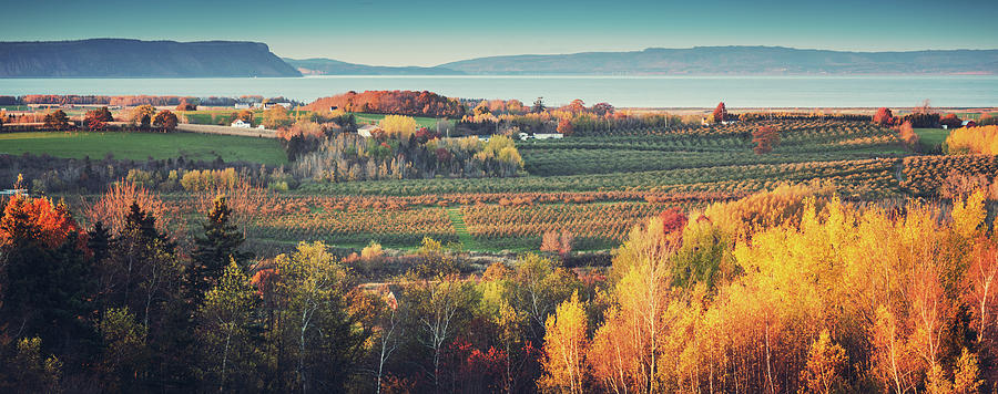 Autumn Farmland Photograph by Shaunl