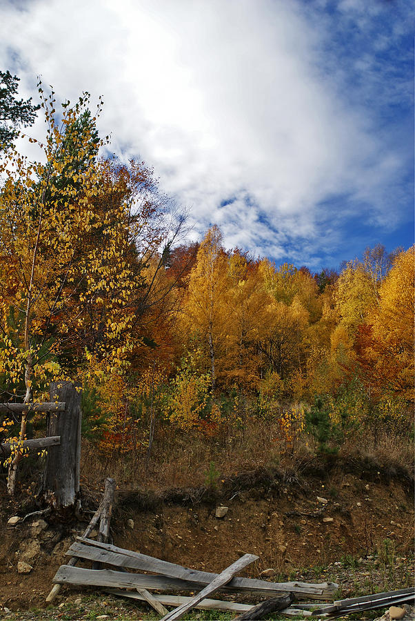 Nature Photograph - Autumn Fence by Bogdan M Nicolae