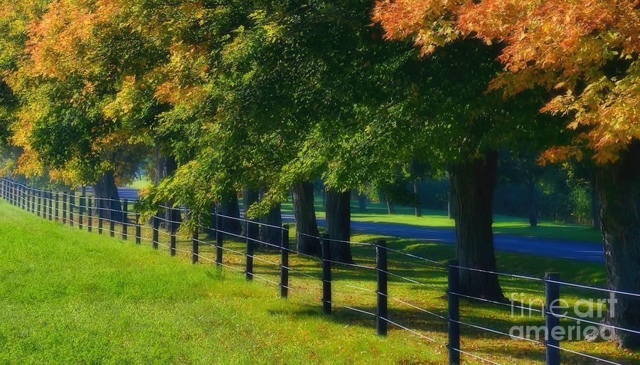 Autumn Country Fence Photograph by Henry Kowalski