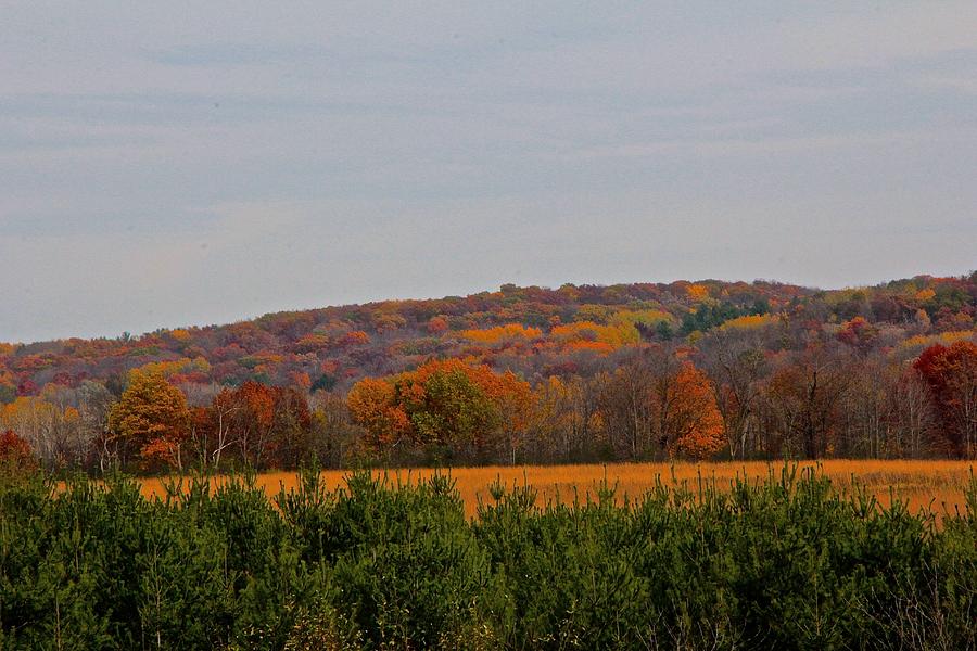 Autumn Field Photograph by Debbie Nobile - Fine Art America