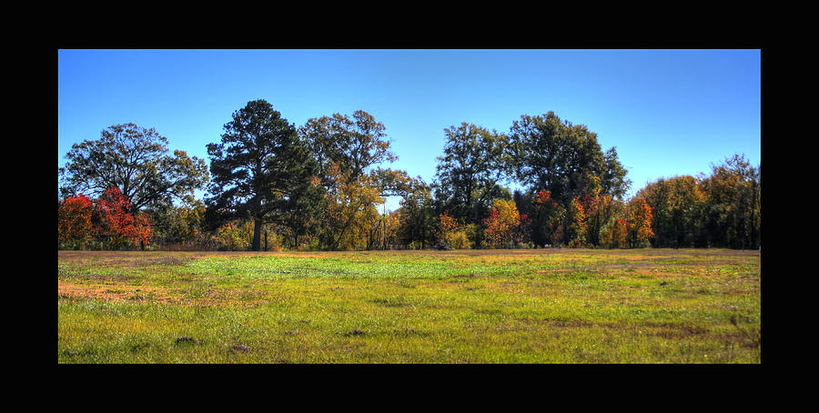 Autumn Field Photograph by Ester McGuire