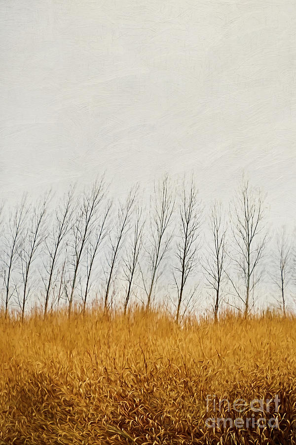 Autumn field of tall grass/digital painting Photograph by Sandra Cunningham