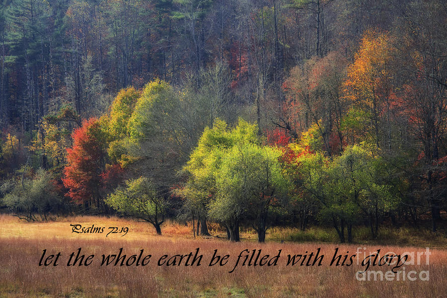 Autumn Field with Scripture Photograph by Jill Lang