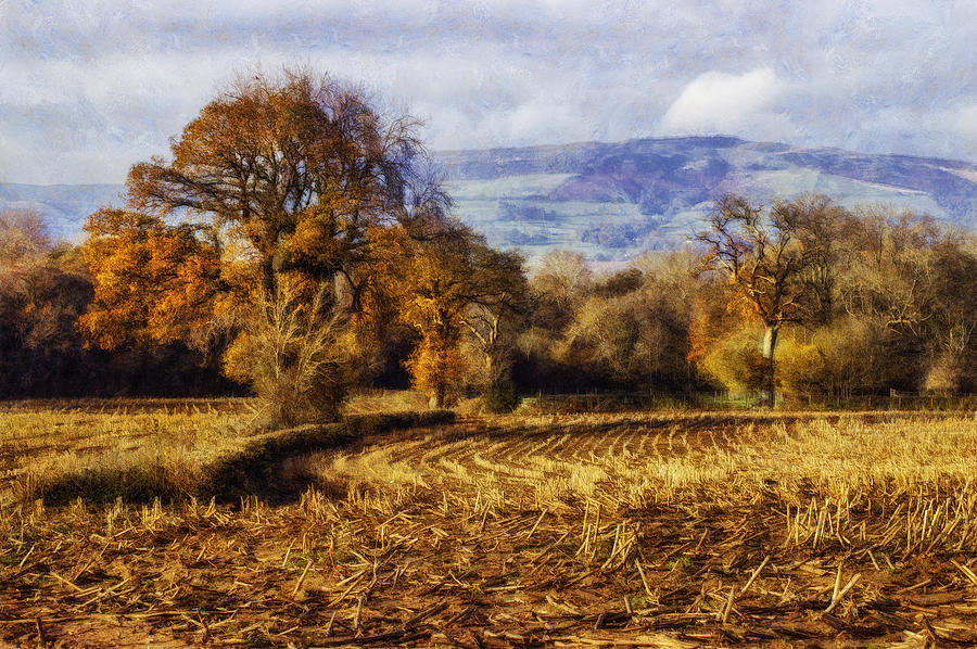 Autumn Fields Photograph by Ian Mitchell