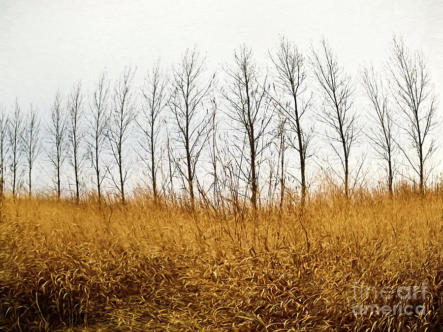 Autumn fields of tall grass/ digital painting Photograph by Sandra Cunningham
