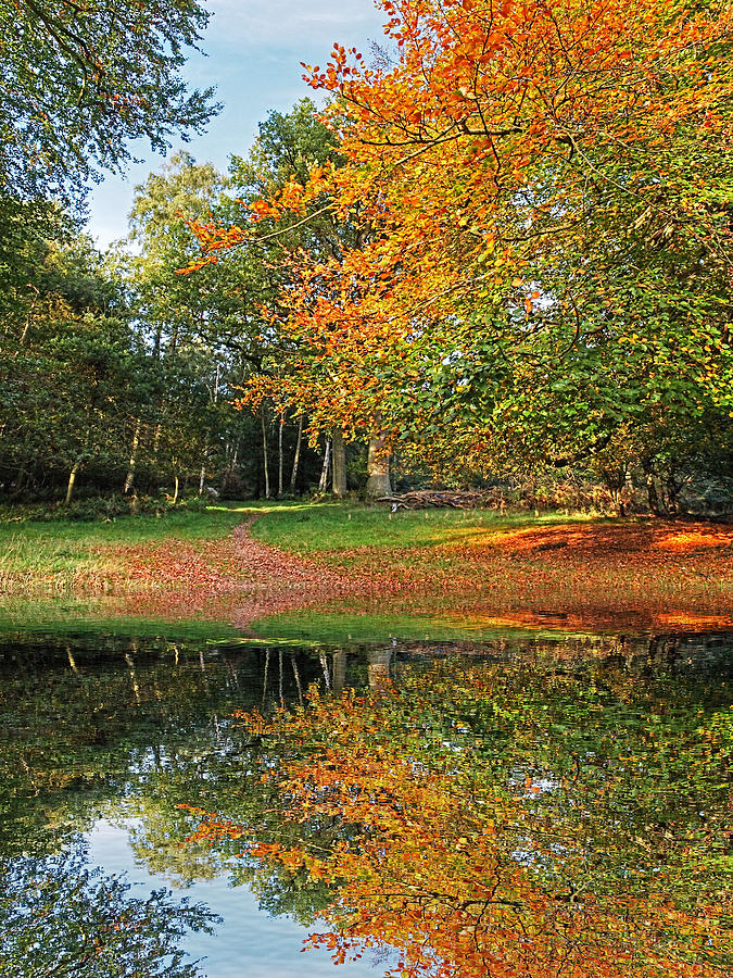 Autumn Fire By The Lake Photograph by Gill Billington