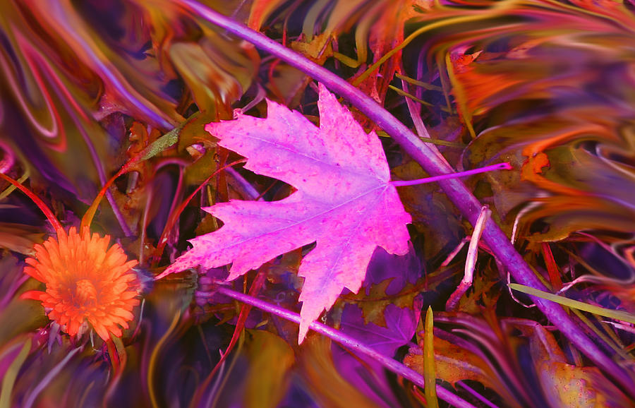 Abstract Digital Art - Autumn Fire by Ian  MacDonald