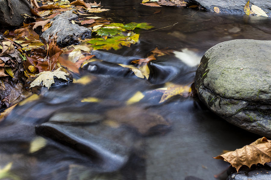 Autumn Flow Photograph by Andrew Pacheco