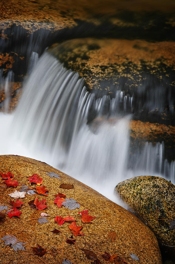 Autumn Flow Photograph by Dominique Dubied