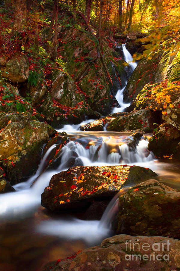 Autumn Flow Photograph by Everett Houser