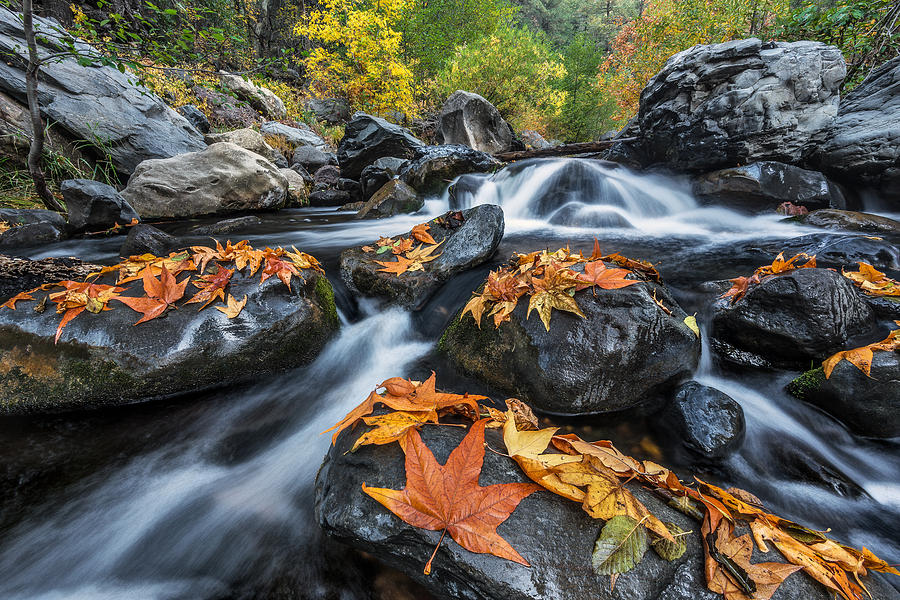 Fall Photograph - Autumn Flow by Guy Schmickle