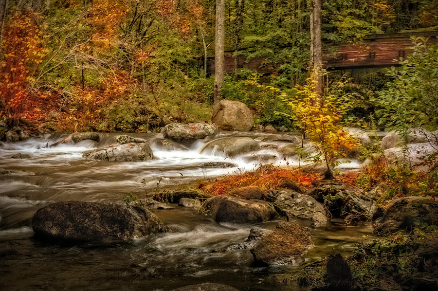 Autumn Flowing Photograph by Mary Timman