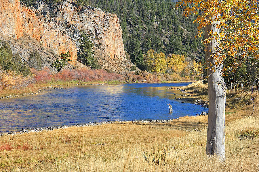Fish Photograph - Autumn Fly Fishing Big Hole River Montana by Jennie Marie Schell