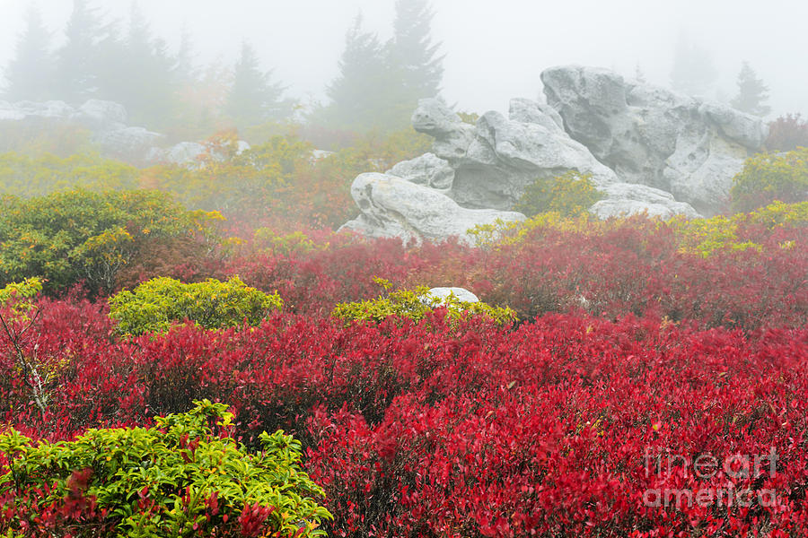 Fall Photograph - Autumn Fog Bear Rocks by Thomas R Fletcher