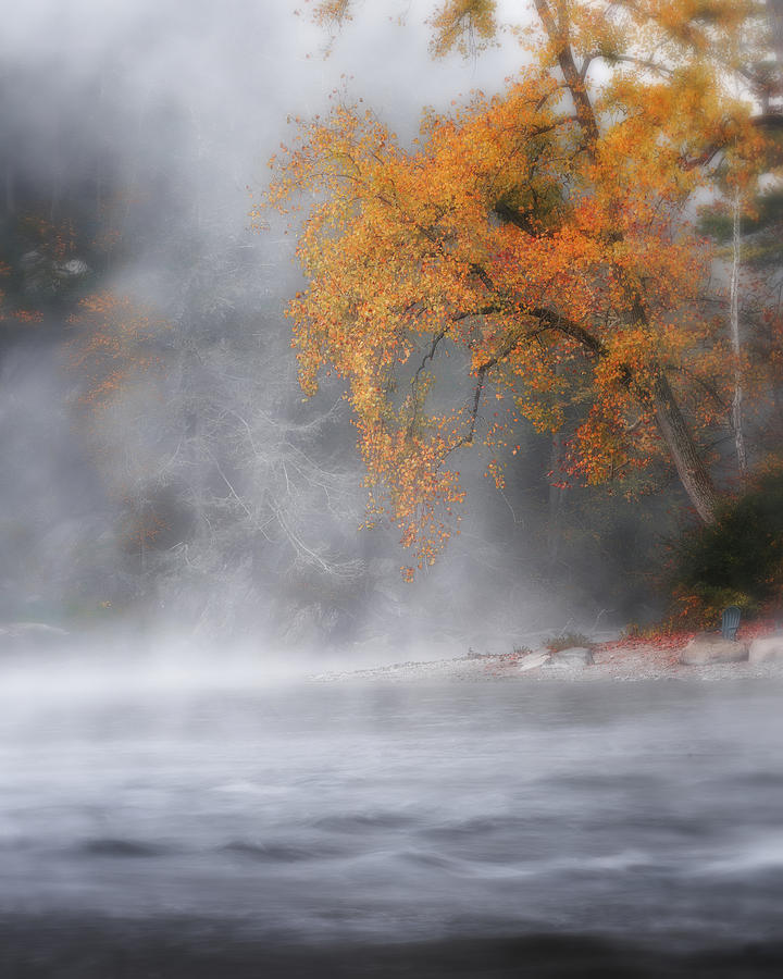 Autumn Fog Photograph by Bill Wakeley