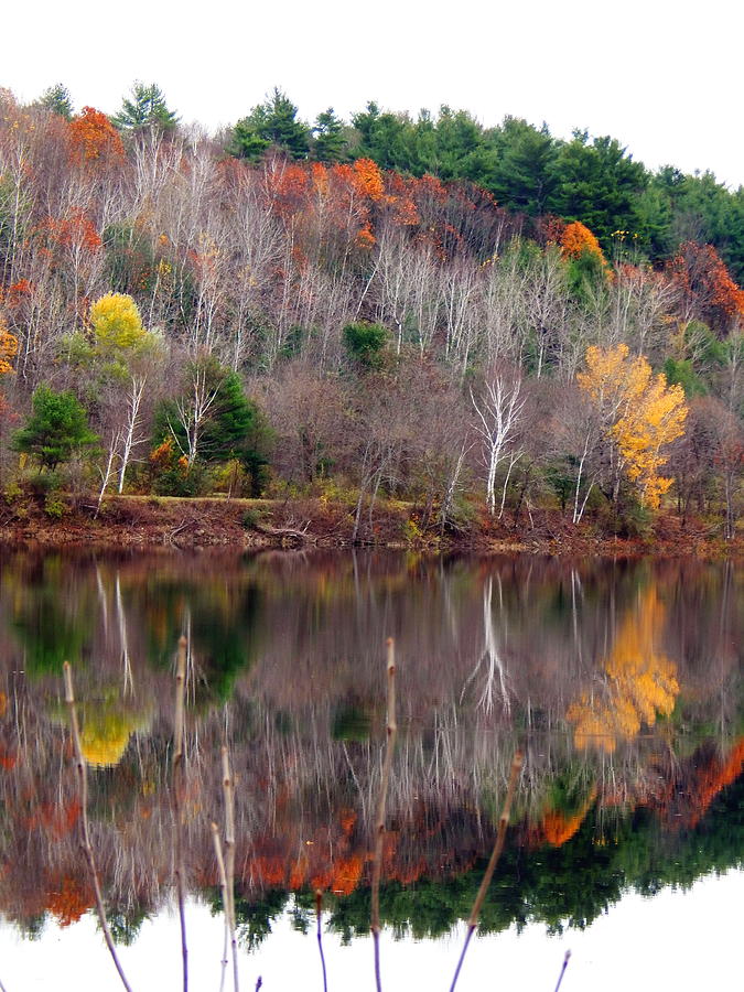 Autumn Foliage river reflection Photograph by Priscilla Batzell Expressionist Art Studio Gallery