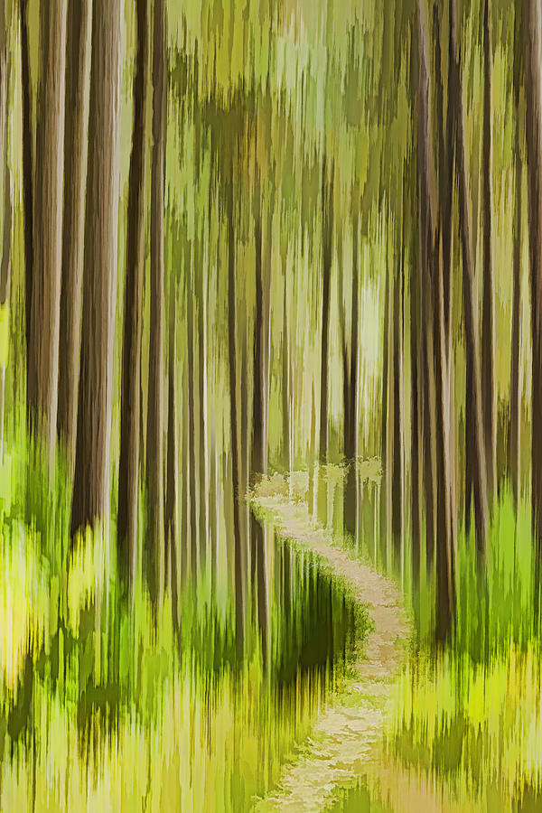 Autumn Forest Abstract Version 3 Photograph by Thomas Young