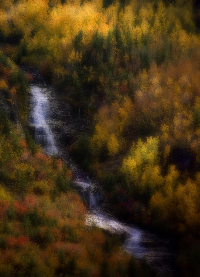 Autumn Forest Falls Photograph by Ellen Heaverlo