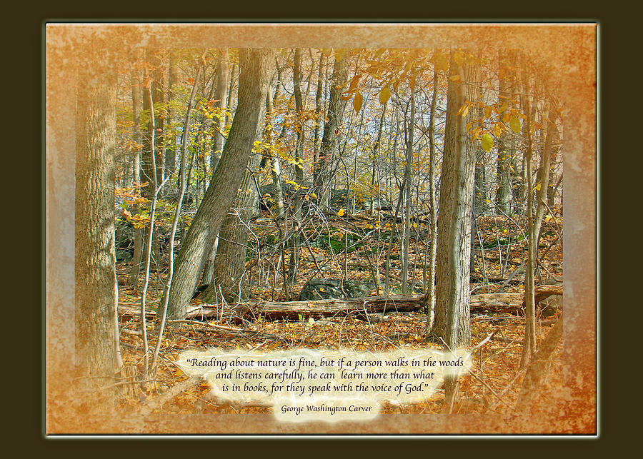 Autumn Forest - George Washington Carver Quote Photograph by Carol Senske