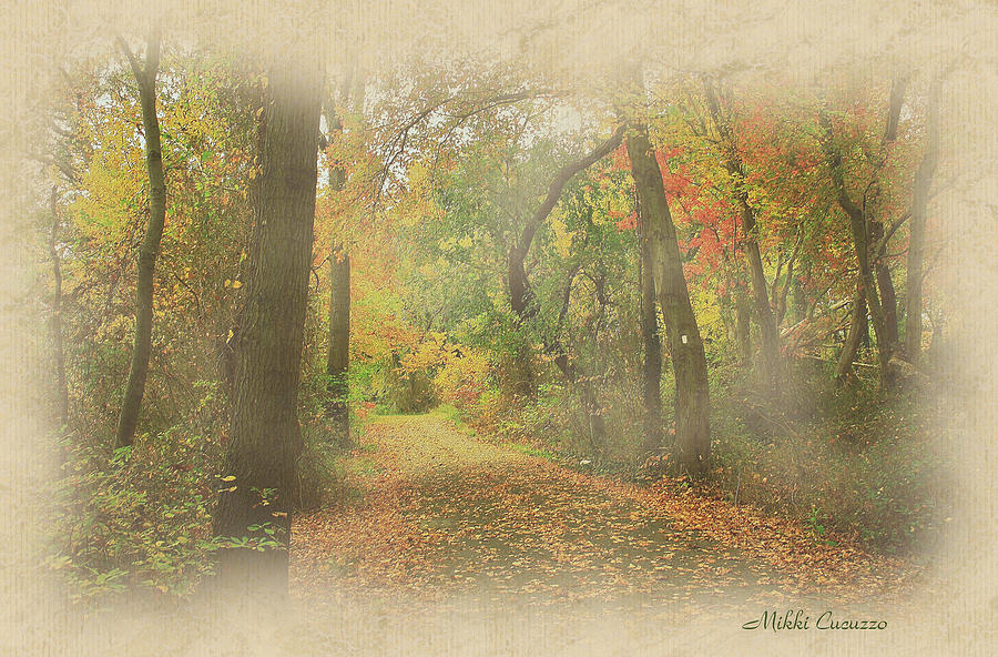 Autumn Forest Photograph by Mikki Cucuzzo