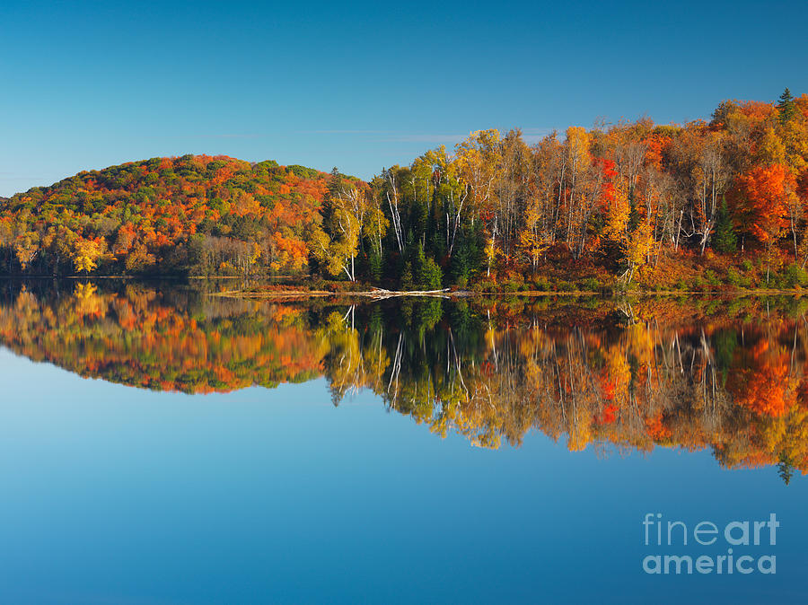 Autumn forest reflecting in still water Photograph by Maxim Images Exquisite Prints