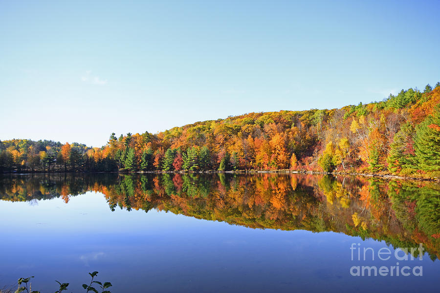 Autumn Forest Reflections Photograph by Charline Xia