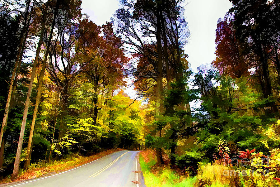Autumn Forest Road V3 Photograph by Douglas Barnard