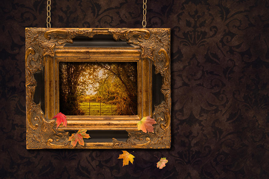 Autumn Frame Photograph by Amanda Elwell - Fine Art America