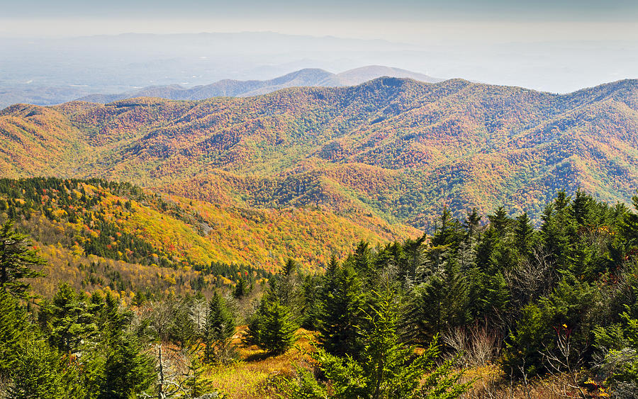 Autumn from the summit of Mount Mitchell Photograph by Pierre Leclerc Photography
