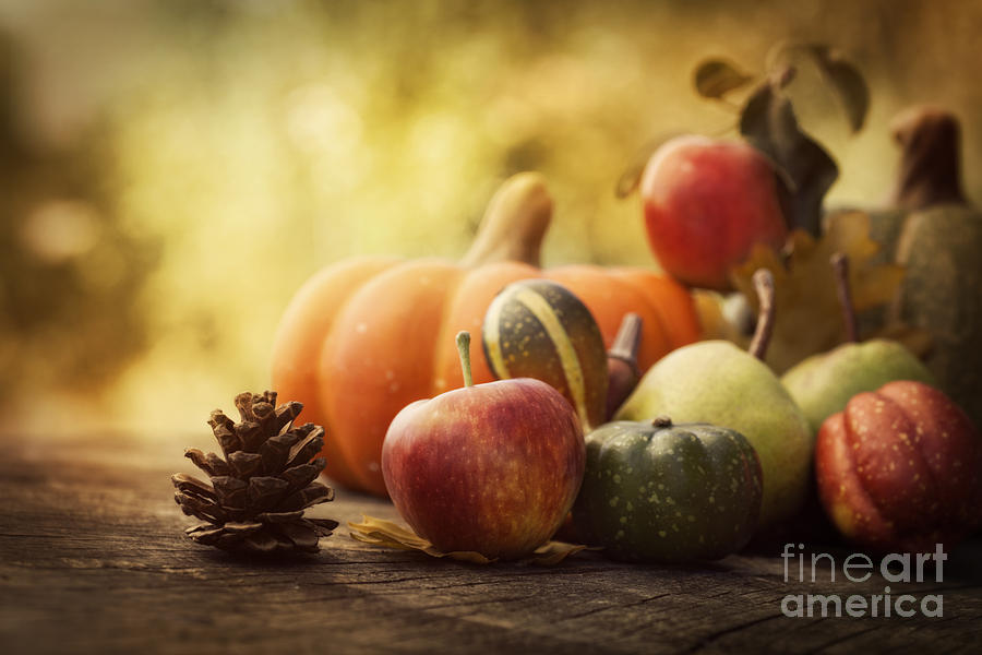 Fall Photograph - Autumn fruit by Mythja Photography