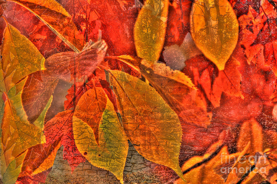 Autumn Fusion 4 Photograph by Jeff Breiman