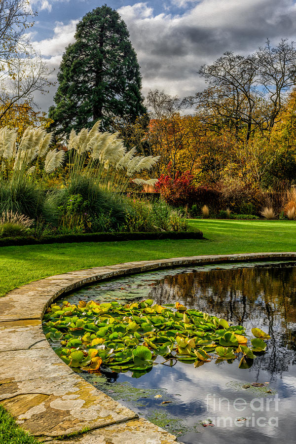Autumn Garden Photograph by Adrian Evans