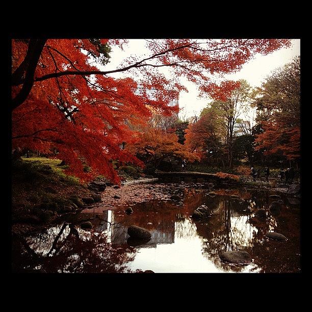 Park Photograph - Autumn Garden  #autumnal #japanese by Saito Hironobu