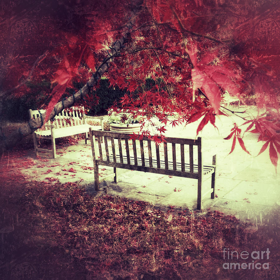 Autumn Garden Photograph by Chris Scroggins